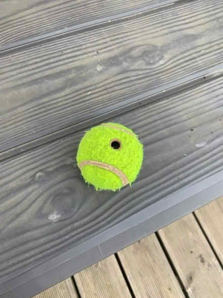 Photo of free Swing Ball - Ball only. (Droylsden M43) #1