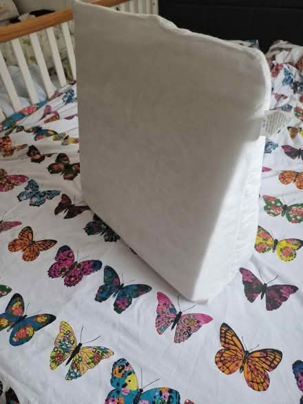 Photo of free Pillow (Headington OX3) #2