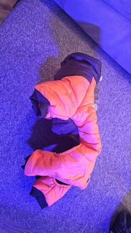 Photo of free Dog's jacket (OX26, Kingsmere, Bicester) #1