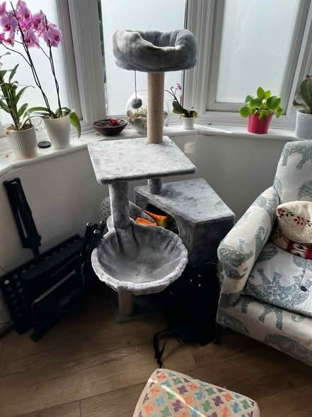 Photo of free Cat tree (BR2) #1
