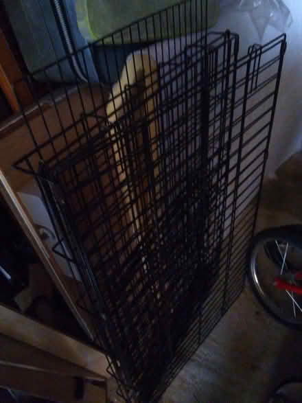 Photo of free Animal cage (Basingstoke RG21) #1