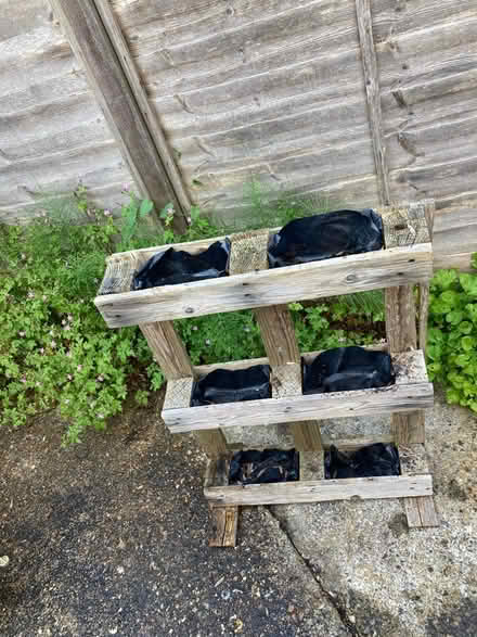 Photo of free Pallet planter (Badshot Lea GU9) #1