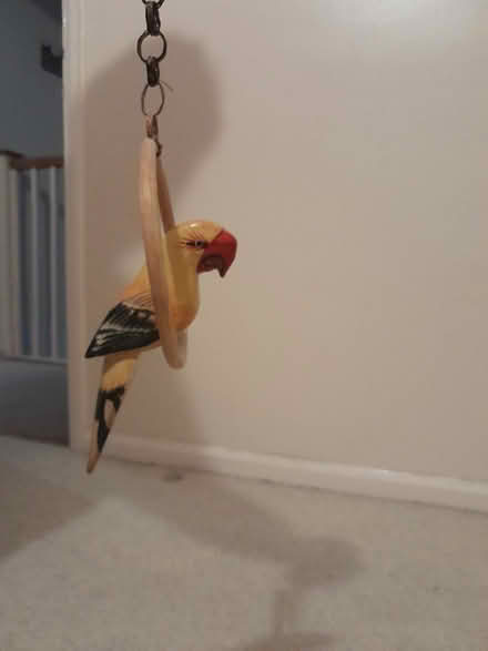 Photo of free 2nd parrot mobile (Melbourn Royston) #2