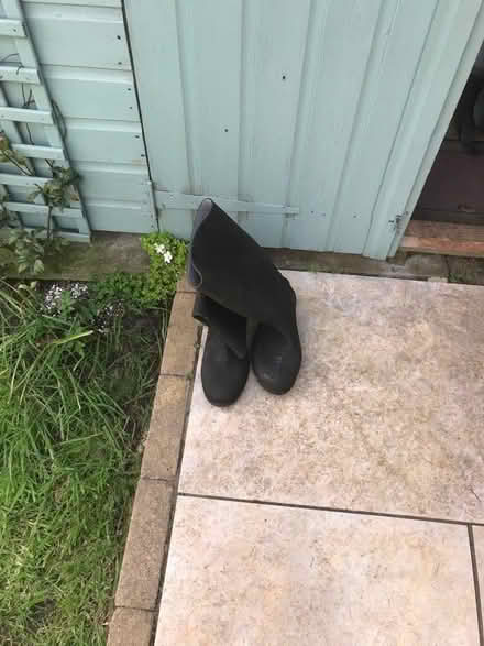 Photo of free Wellies (East Hartburn TS18) #1