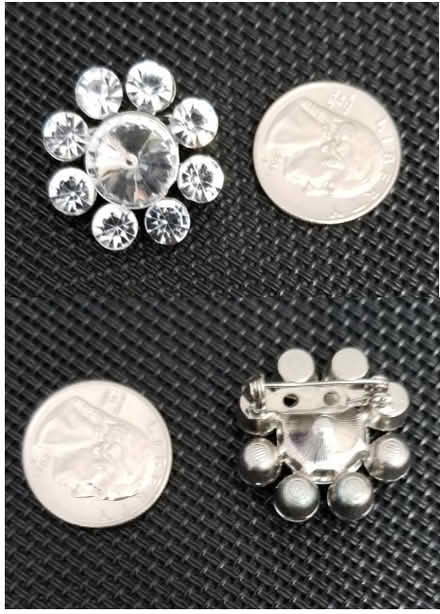 Photo of free Pin (Barron Park) #1
