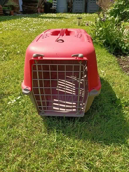 Photo of free Small pet carrier (TA8) #1