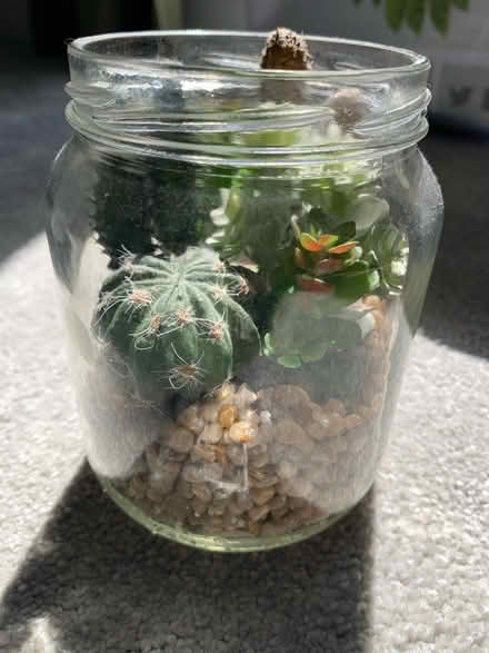 Photo of free Artificial decorations (KT20) #3