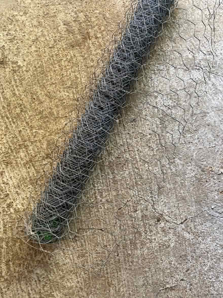 Photo of free Chicken wire (Ravenna) #1