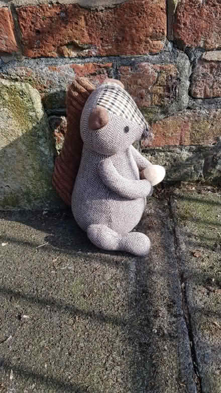 Photo of free Squirrel door stop in need of nose (Orford WA2) #1