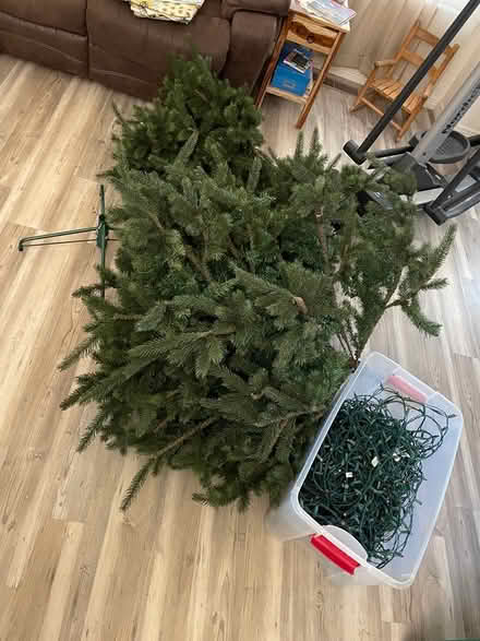 Photo of free 7.5 ft artificial xmas tree (unlit) (Near 115th & Sheridan) #2