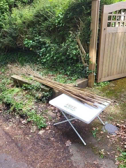 Photo of free bamboo cane bundles (Everton SO41) #1