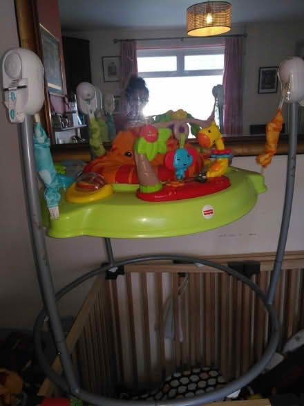 Photo of free Fisher price jumperoo (Downham)