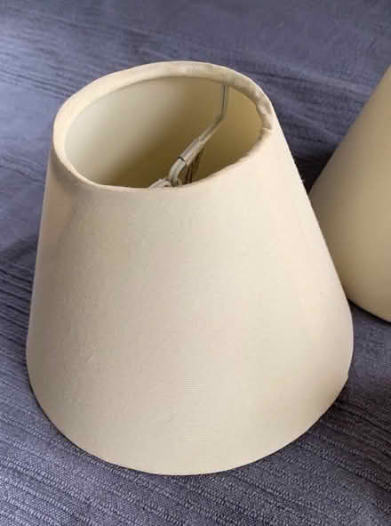 Photo of free Ceiling/Wall Light Shades (Mere BA12) #2
