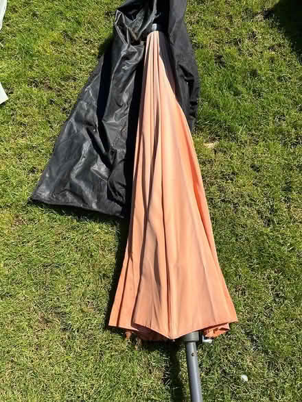 Photo of free 3 garden umbrellas (Musbury) #3