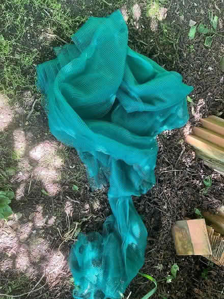 Photo of free Garden netting (Musbury) #1