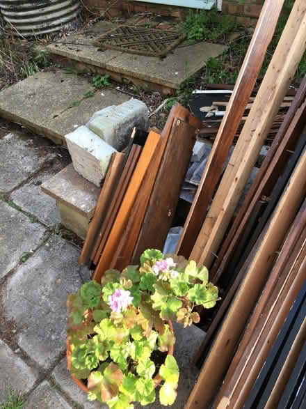 Photo of free Various lengths of wood (North Walsham NR28)