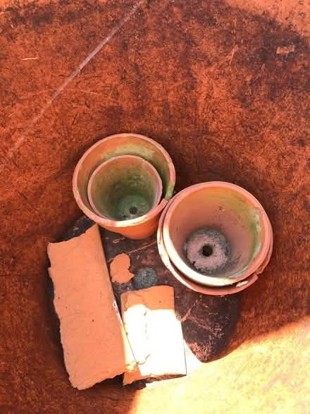 Photo of free Old terracotta plant pots (Grays RM17) #4