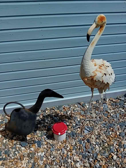 Photo of free Garden ornaments (Great Ashby, Stevenage SG1) #1