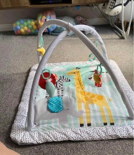 Photo of free Baby play gym (Birchwood, Warrington) #1