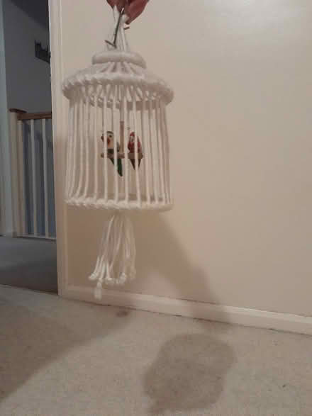 Photo of free Parrot mobile (Melbourn Royston) #1