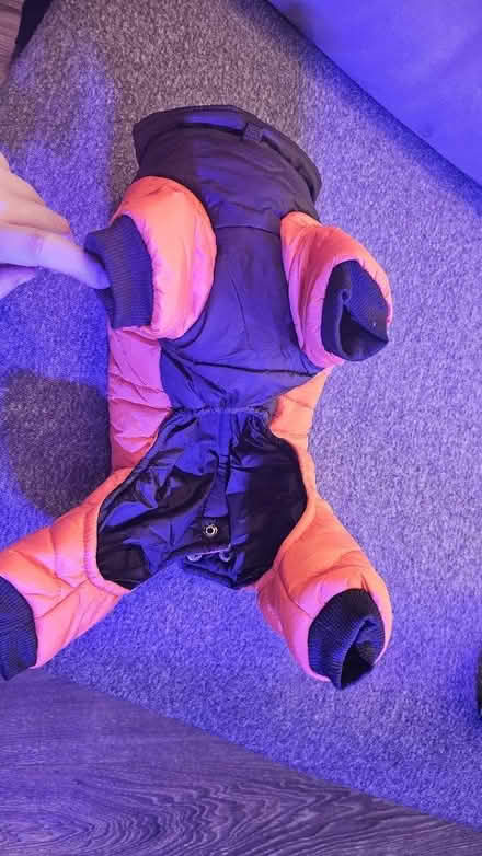 Photo of free Dog's jacket (OX26, Kingsmere, Bicester) #2