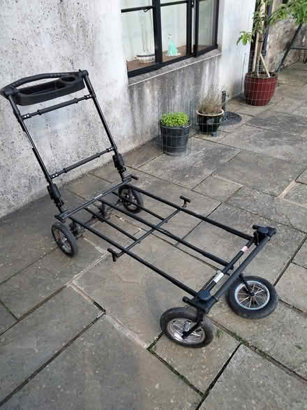 Photo of free Dog show trolley (Binegar, near church.) #2