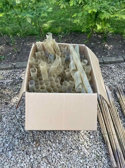 Photo of free Spiral hedge guards (WR13 Berrow) #1