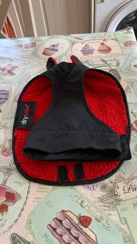 Photo of free Small dog coat (Chelmsford CM1) #1
