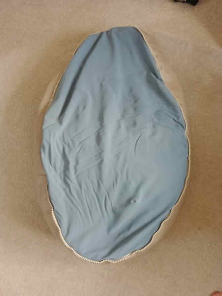 Photo of free Baby sit up support cushion (Eltham SE9) #1