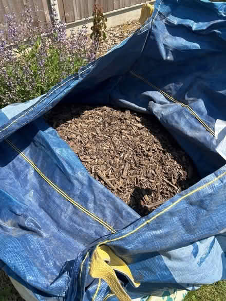 Photo of free Wood chippings (CT1) #1