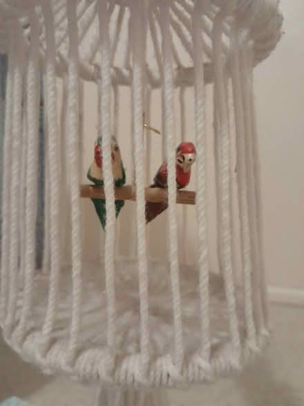 Photo of free Parrot mobile (Melbourn Royston) #2