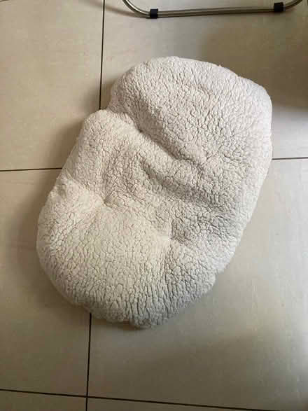 Photo of free Dog cushion (Oakridge - RG21) #1