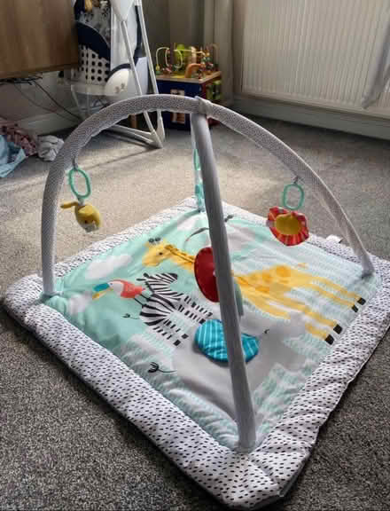Photo of free Baby play gym (Birchwood, Warrington) #2