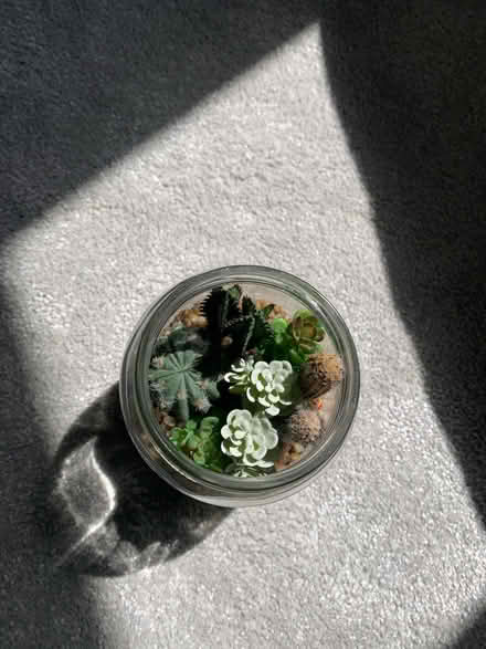 Photo of free Artificial decorations (KT20) #1