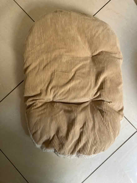 Photo of free Dog cushion (Oakridge - RG21) #2