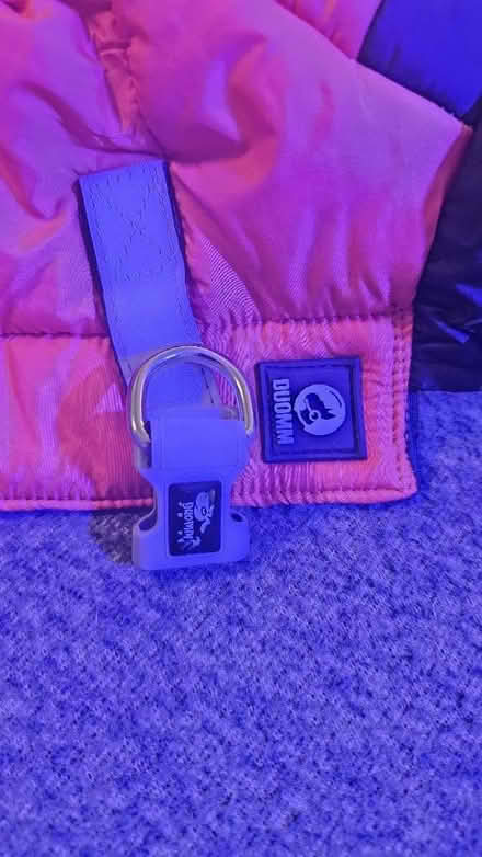 Photo of free Dog's jacket (OX26, Kingsmere, Bicester) #3