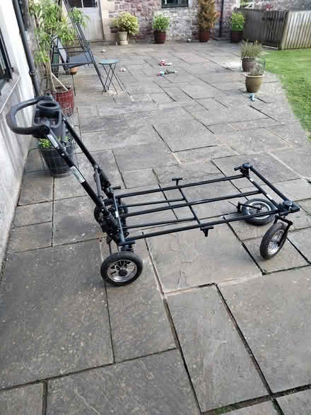 Photo of free Dog show trolley (Binegar, near church.) #1