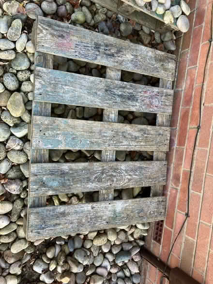 Photo of free 2 x old pallets (EH10) #1