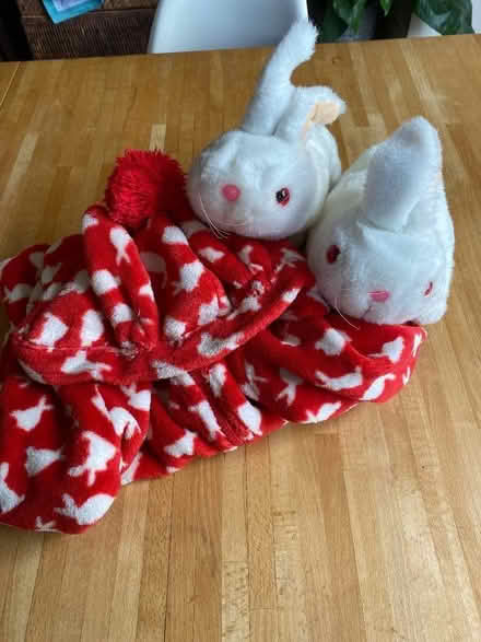 Photo of free EASTER! Kids rabbit slippers & fleece (St Albans AL3) #1