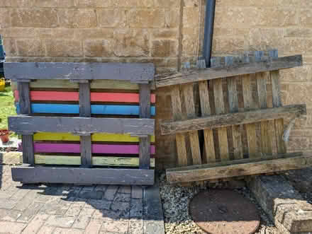 Photo of free Pallet (Carterton OX18) #1