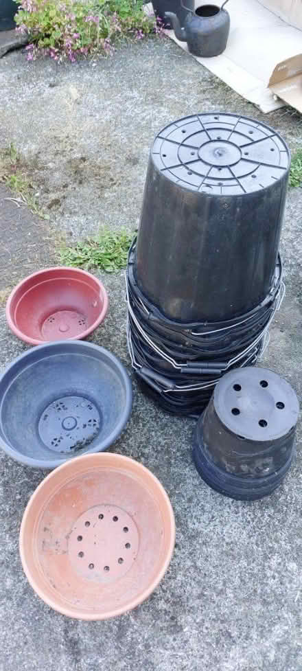 Photo of free Planting (Clondalkin) #1