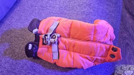 Photo of free Dog's jacket (OX26, Kingsmere, Bicester) #4