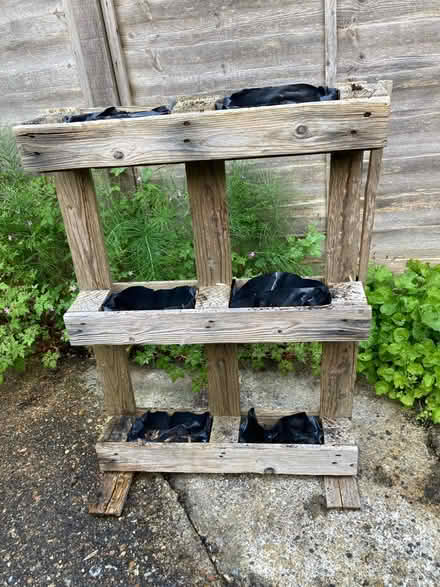 Photo of free Pallet planter (Badshot Lea GU9) #2