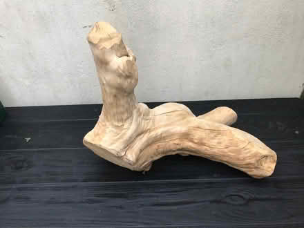 Photo of free Vivarium Wooden PERCH (Brookvale RG21) #2