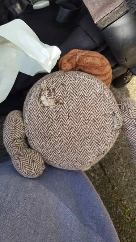 Photo of free Squirrel door stop in need of nose (Orford WA2) #4