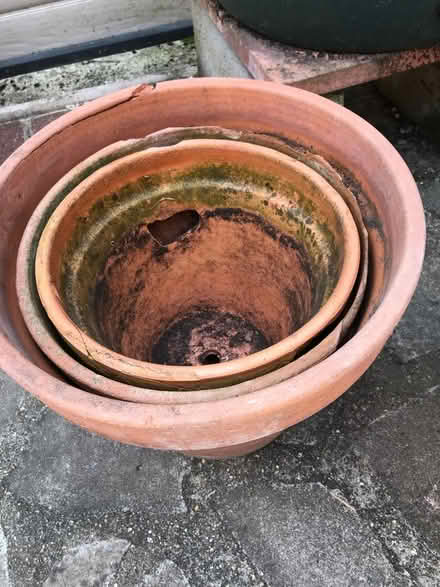 Photo of free Old terracotta plant pots (Grays RM17) #2