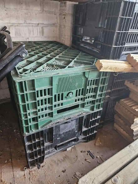 Photo of free 5x crates (Holbeach PE12) #1