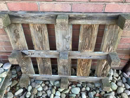 Photo of free 2 x old pallets (EH10) #3