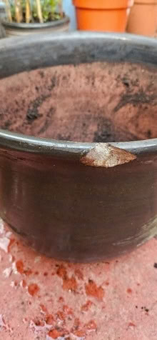 Photo of free Ceramic Plant Pot (CT10) #2