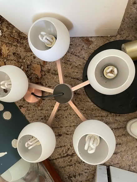Photo of free Ceiling lights (Oadby LE2) #1